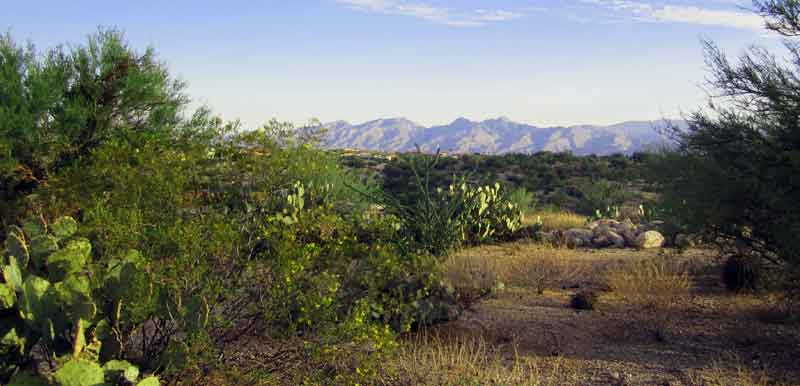 Northern Views From 'Lot 9' a 2.72 Acre Ridge Top Parcle in Rancho Cnacon